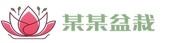 BWIN必赢·国际(中国)唯一官方网站